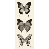 Butterfly - BW Panel I -Paper Art-22&quotx52"