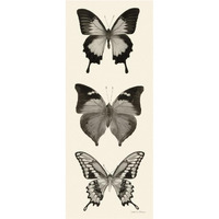 Butterfly - BW Panel I -Paper Art-32"x77"