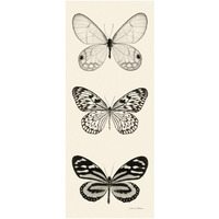 Butterfly - BW Panel II -Paper Art-14"x32"