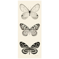 Butterfly - BW Panel II -Paper Art-18"x42"