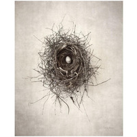 Nest I -Paper Art-18"x22"