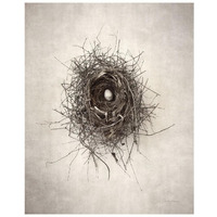 Nest I -Paper Art-22"x26"