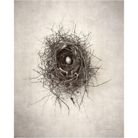 Nest I -Paper Art-24"x30"