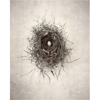 Nest I -Paper Art-30&quotx37"