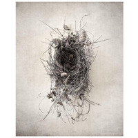 Nest II -Paper Art-22"x26"