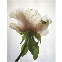 Translucent Peony VII -Paper Art-18"x22"