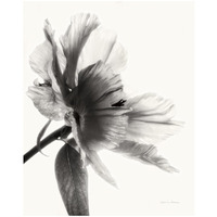 Translucent Peony II - BW -Paper Art-18"x22"