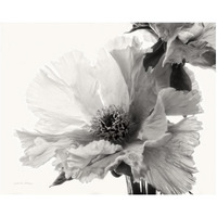 Translucent Peony V - BW -Paper Art-26"x22"