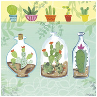 Cacti Garden I no Birds and Butterflies -Paper Art-20"x20"