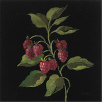 Framboise no Words -Paper Art-38"x38"