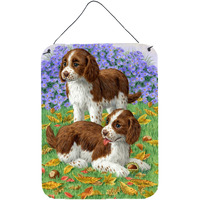 "Caroline's Treasures Welsh Springer Spaniel Pups Wall or Door Hanging Prints ASA2116DS1216, 16HX12W, Multicolor"