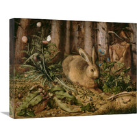 A Hare in the Forest-Canvas Art-24"x20"