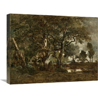 Forest of Fontainebleau, Cluster of Tall Trees Overlooking the Plain of Clair-Bois at the Edge of Bas-Breau-Canvas Art-24&quotx18"