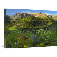 Wildflower meadow looking towards Mount Sneffels Wilderness, Yankee Boy Basin, Colorado-Canvas Art-24"x18"