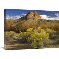 Mitten Rock, New Mexico-Canvas Art-24"x18"