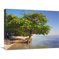 Roatan Island, Honduras-Canvas Art-24&quotx18"