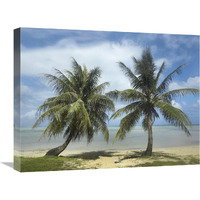 Palm trees, Agana Beach, Guam-Canvas Art-24"x18"