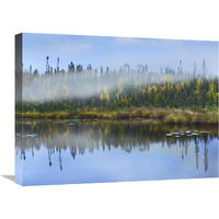 Fog over lake, Ontario, Canada-Canvas Art-24"x18"