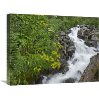 Creek near Silverton, Colorado-Canvas Art-24"x18"