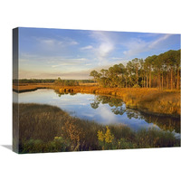 Lake near Apalachicola, Florida-Canvas Art-24"x18"