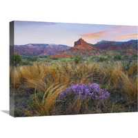 Caprock Canyons State Park, Texas-Canvas Art-24"x18"