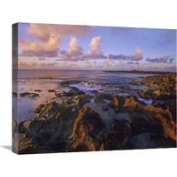 Dusk at Shark"s Cove, Oahu, Hawaii-Canvas Art-24"x20"