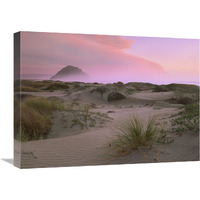 Morro Rock at Morro Bay, California-Canvas Art-24"x18"