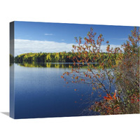 Tobique River, New Brunswick, Canada-Canvas Art-24&quotx18"