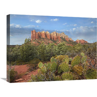 Coffee Pot Rock near Sedona, Arizona-Canvas Art-24&quotx18"