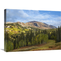 Ruby Peak near Crested Butte, Colorado-Canvas Art-24"x18"