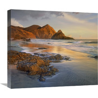 Bean Hollow Beach, Big Sur, California-Canvas Art-22&quotx19.36"