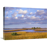 Saltwater marshes at Cedar Key, Florida-Canvas Art-24"x18"