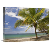 Palm trees line Penca Beach, Costa Rica-Canvas Art-24"x18"