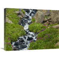 Porphyry Creek near Silverton, Colorado-Canvas Art-24&quotx18"