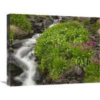 Porphyry Creek near Silverton, Colorado-Canvas Art-24"x18"