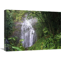 Waterfall along Hana coast, Maui, Hawaii-Canvas Art-24"x18"