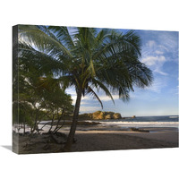 Palm trees line Pelada Beach, Costa Rica-Canvas Art-24"x18"