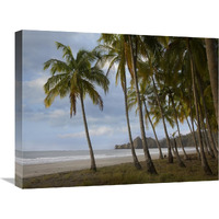 Palm trees line Carillo Beach, Costa Rica-Canvas Art-24"x18"