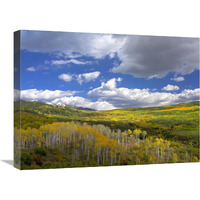 Gunnison National Forest in fall, Colorado-Canvas Art-24"x18"