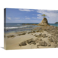 Point with tree on Penca Beach, Costa Rica-Canvas Art-24&quotx18"