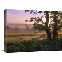 Tallgrass Prairie National Preserve, Kansas-Canvas Art-24"x18"