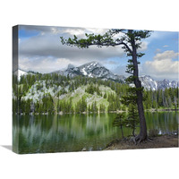 Pine trees reflected in Fairy Lake, Montana-Canvas Art-24"x18"