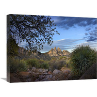 Organ Mountains near Las Cruces, New Mexico-Canvas Art-24"x18"