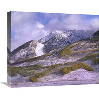 Elk Mountains with snow in autumn, Colorado-Canvas Art-22&quotx18.26"