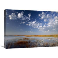 Marsh, Padre Island National Seashore, Texas-Canvas Art-24"x18"