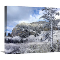 Light snow covering Boulder Mountains, Idaho-Canvas Art-22"x19.36"