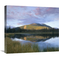 Pond reflecting Nisling Range, Yukon, Canada-Canvas Art-22&quotx19.58"