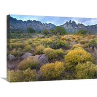 Organ Mountains, Chihuahuan Desert, New Mexico-Canvas Art-24"x18"