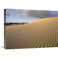 Sand dune, Monahans Sandhills State Park, Texas-Canvas Art-24"x18"