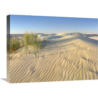 Sand dunes, Monahans Sandhills State Park, Texas-Canvas Art-24"x18"